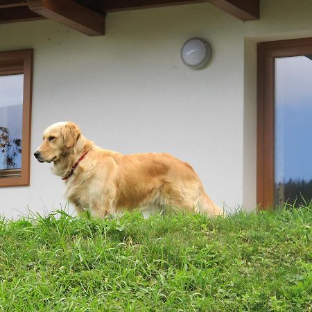 Apartamento Il Cardo Trentino Bedollo Exterior foto