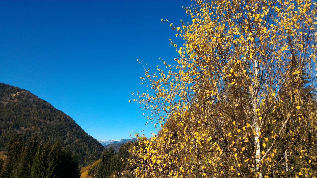 Apartamento Il Cardo Trentino Bedollo Exterior foto