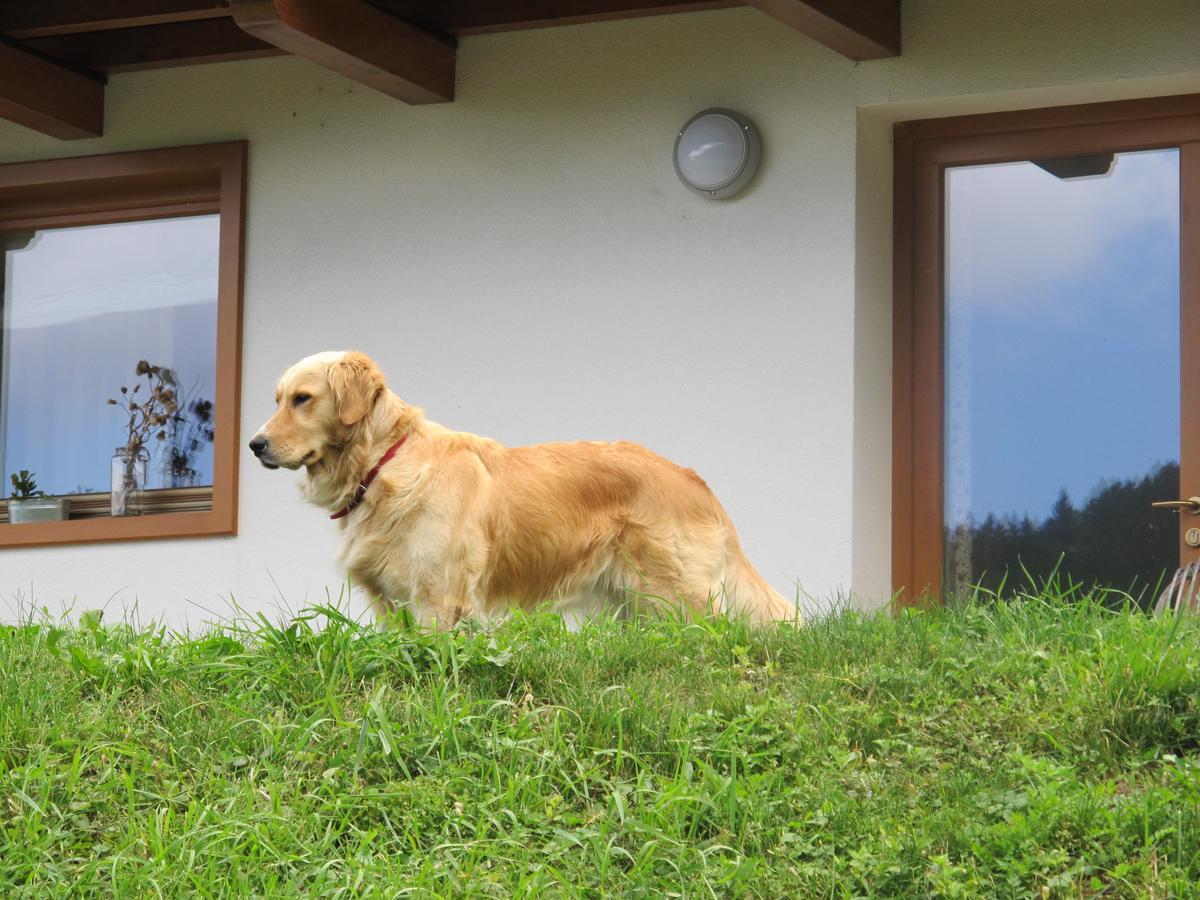 Apartamento Il Cardo Trentino Bedollo Exterior foto