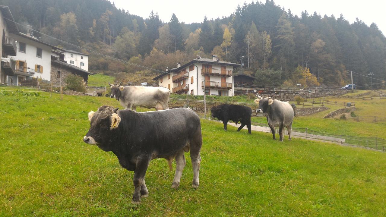 Apartamento Il Cardo Trentino Bedollo Exterior foto