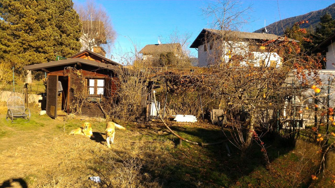 Apartamento Il Cardo Trentino Bedollo Exterior foto