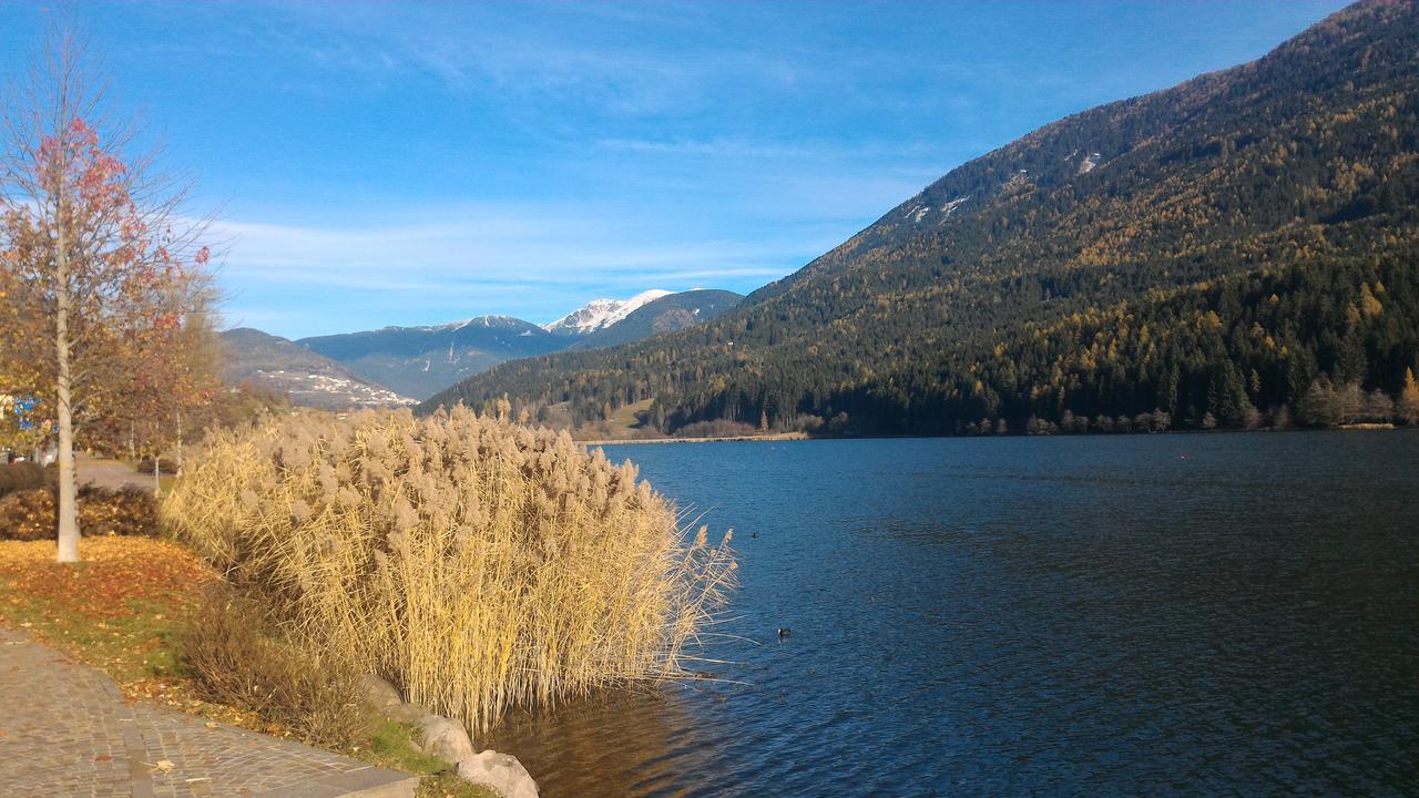 Apartamento Il Cardo Trentino Bedollo Exterior foto